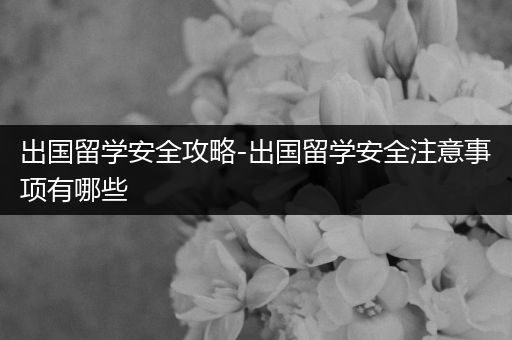 出国留学安全攻略-出国留学安全注意事项有哪些
