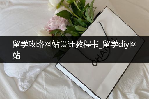 留学攻略网站设计教程书_留学diy网站
