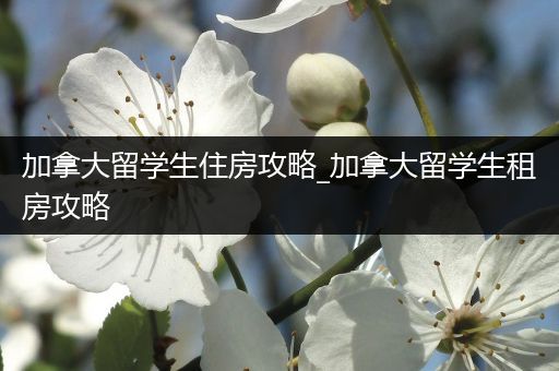 加拿大留学生住房攻略_加拿大留学生租房攻略