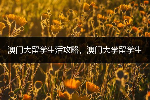 澳门大留学生活攻略，澳门大学留学生