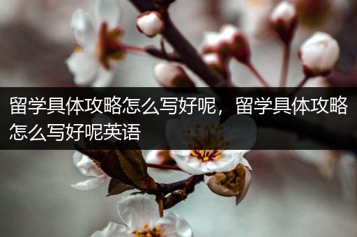 留学具体攻略怎么写好呢，留学具体攻略怎么写好呢英语