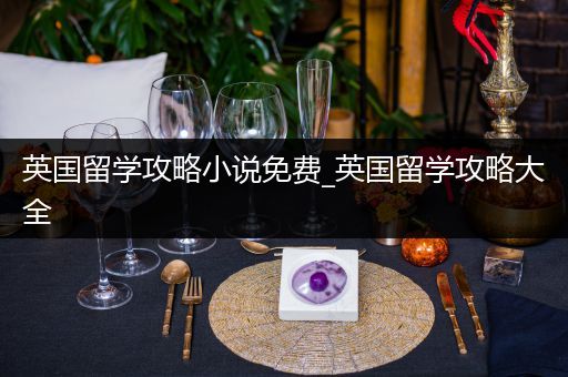 英国留学攻略小说免费_英国留学攻略大全
