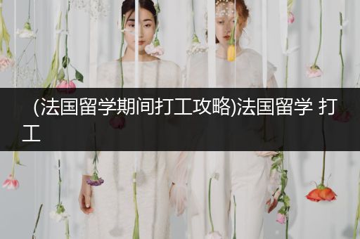 （法国留学期间打工攻略)法国留学 打工