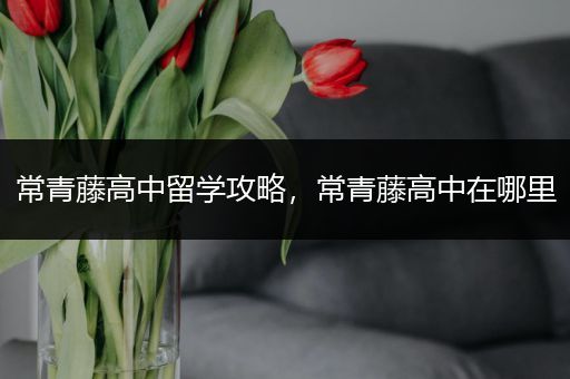 常青藤高中留学攻略，常青藤高中在哪里