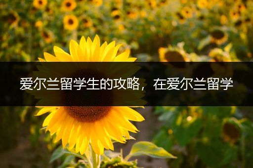 爱尔兰留学生的攻略，在爱尔兰留学