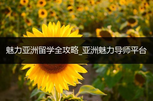 魅力亚洲留学全攻略_亚洲魅力导师平台