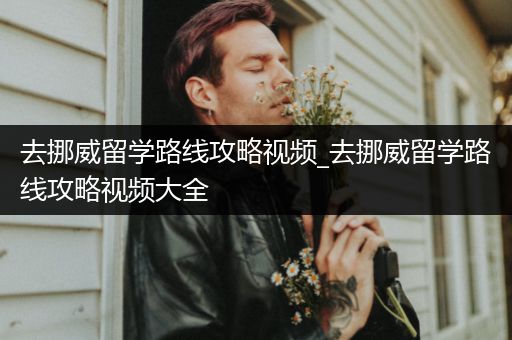 去挪威留学路线攻略视频_去挪威留学路线攻略视频大全