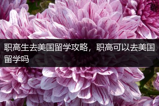 职高生去美国留学攻略，职高可以去美国留学吗