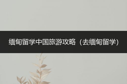 缅甸留学中国旅游攻略（去缅甸留学）