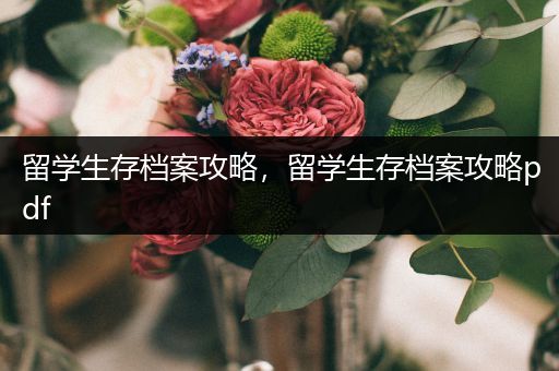 留学生存档案攻略，留学生存档案攻略pdf