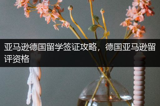 亚马逊德国留学签证攻略，德国亚马逊留评资格
