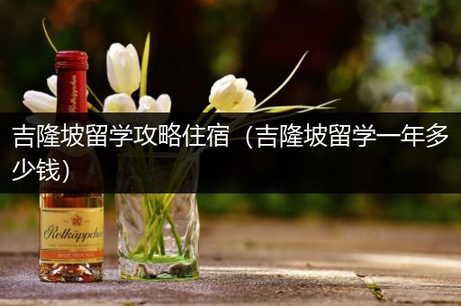 吉隆坡留学攻略住宿（吉隆坡留学一年多少钱）