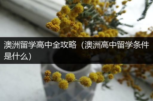 澳洲留学高中全攻略（澳洲高中留学条件是什么）
