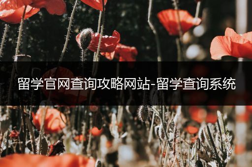 留学官网查询攻略网站-留学查询系统