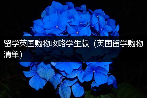 留学英国购物攻略学生版（英国留学购物清单）