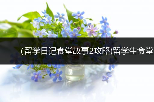 （留学日记食堂故事2攻略)留学生食堂