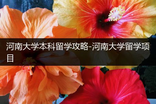 河南大学本科留学攻略-河南大学留学项目
