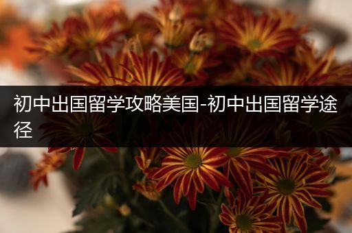 初中出国留学攻略美国-初中出国留学途径