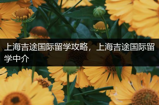 上海吉途国际留学攻略，上海吉途国际留学中介