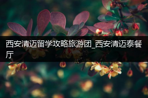 西安清迈留学攻略旅游团_西安清迈泰餐厅