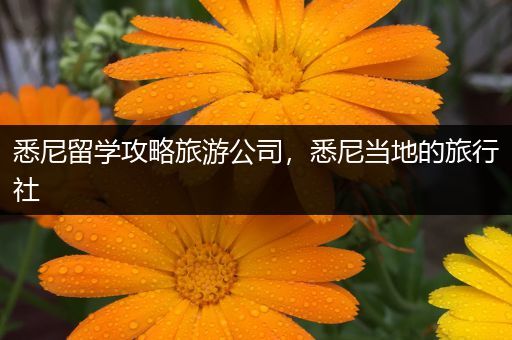 悉尼留学攻略旅游公司，悉尼当地的旅行社