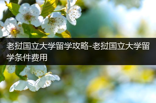 老挝国立大学留学攻略-老挝国立大学留学条件费用