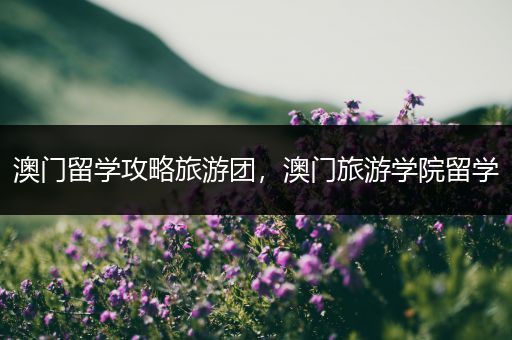 澳门留学攻略旅游团，澳门旅游学院留学