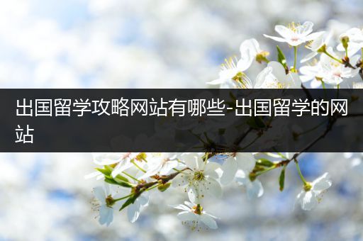 出国留学攻略网站有哪些-出国留学的网站