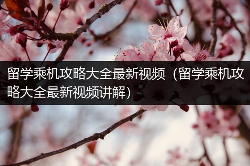 留学乘机攻略大全最新视频（留学乘机攻略大全最新视频讲解）