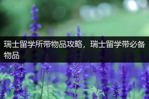 瑞士留学所带物品攻略，瑞士留学带必备物品