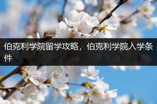 伯克利学院留学攻略，伯克利学院入学条件