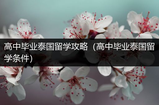 高中毕业泰国留学攻略（高中毕业泰国留学条件）