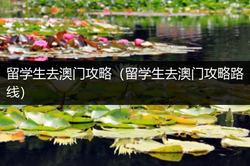 留学生去澳门攻略（留学生去澳门攻略路线）