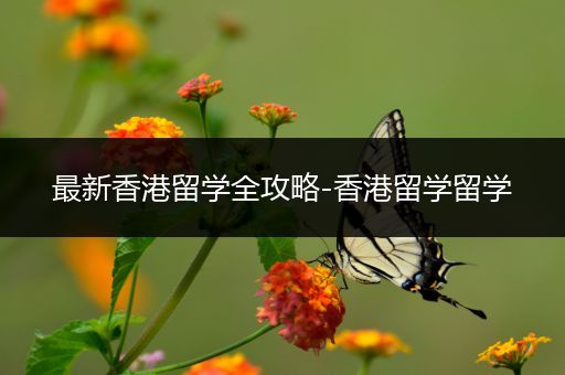 最新香港留学全攻略-香港留学留学