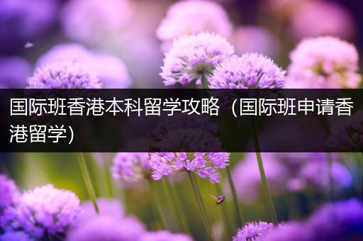 国际班香港本科留学攻略（国际班申请香港留学）