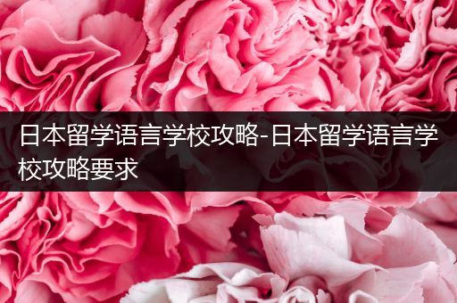日本留学语言学校攻略-日本留学语言学校攻略要求
