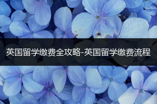 英国留学缴费全攻略-英国留学缴费流程