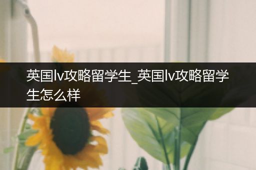英国lv攻略留学生_英国lv攻略留学生怎么样