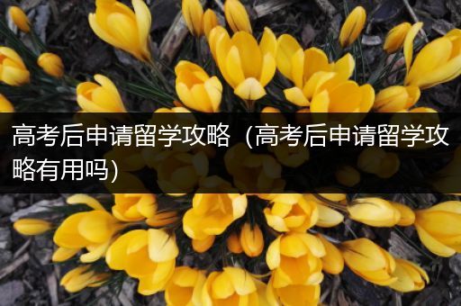 高考后申请留学攻略（高考后申请留学攻略有用吗）