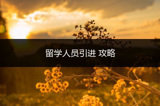 留学人员引进 攻略