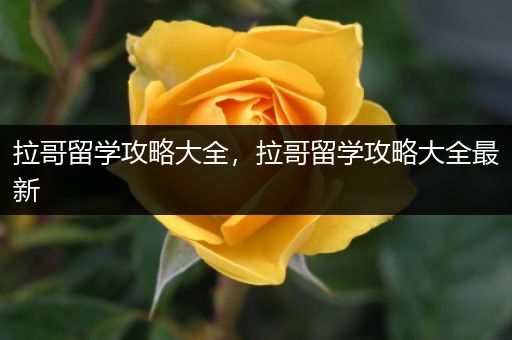 拉哥留学攻略大全，拉哥留学攻略大全最新