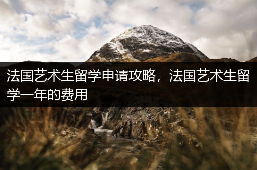 法国艺术生留学申请攻略，法国艺术生留学一年的费用