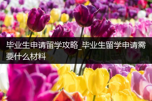 毕业生申请留学攻略_毕业生留学申请需要什么材料
