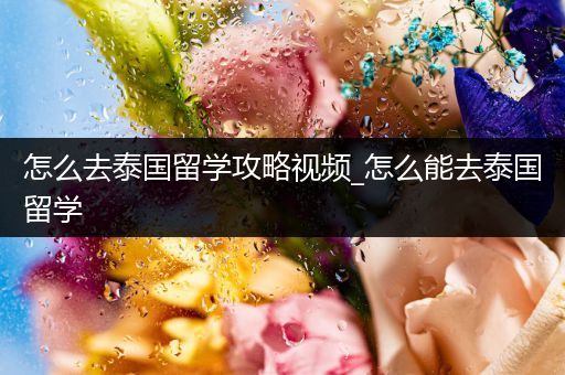 怎么去泰国留学攻略视频_怎么能去泰国留学