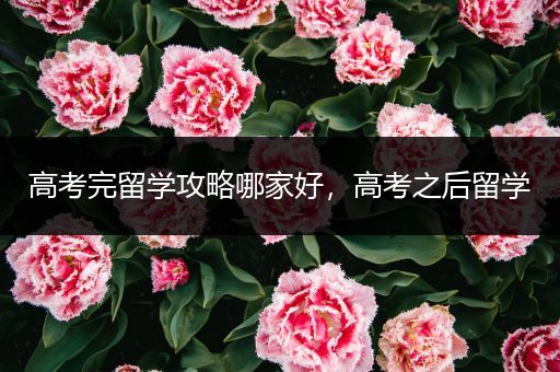 高考完留学攻略哪家好，高考之后留学