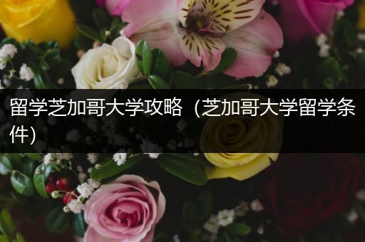 留学芝加哥大学攻略（芝加哥大学留学条件）