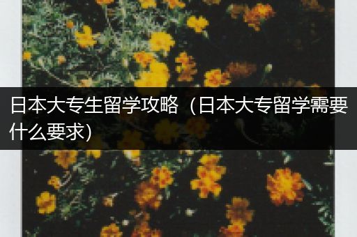 日本大专生留学攻略（日本大专留学需要什么要求）