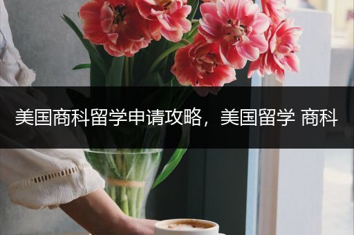 美国商科留学申请攻略，美国留学 商科