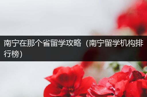 南宁在那个省留学攻略（南宁留学机构排行榜）