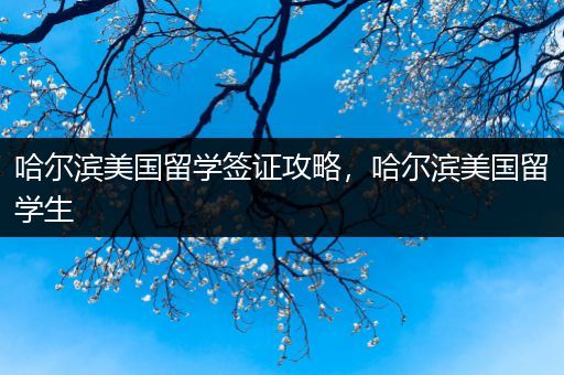 哈尔滨美国留学签证攻略，哈尔滨美国留学生